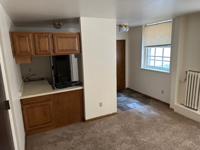 133 South Mill St, Apt 209